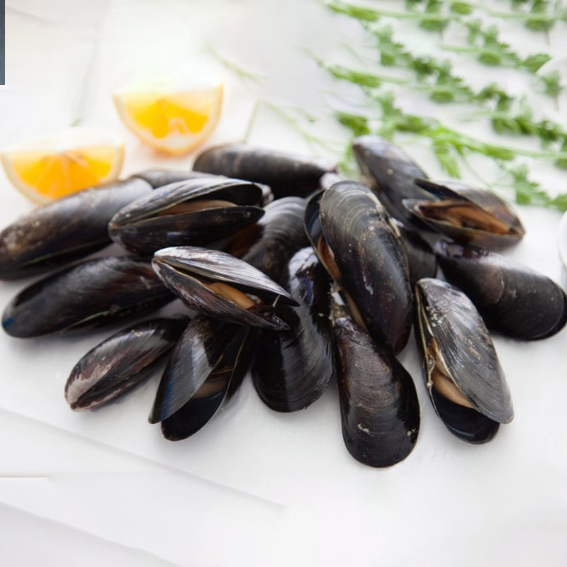 Frozen-Mussels-2