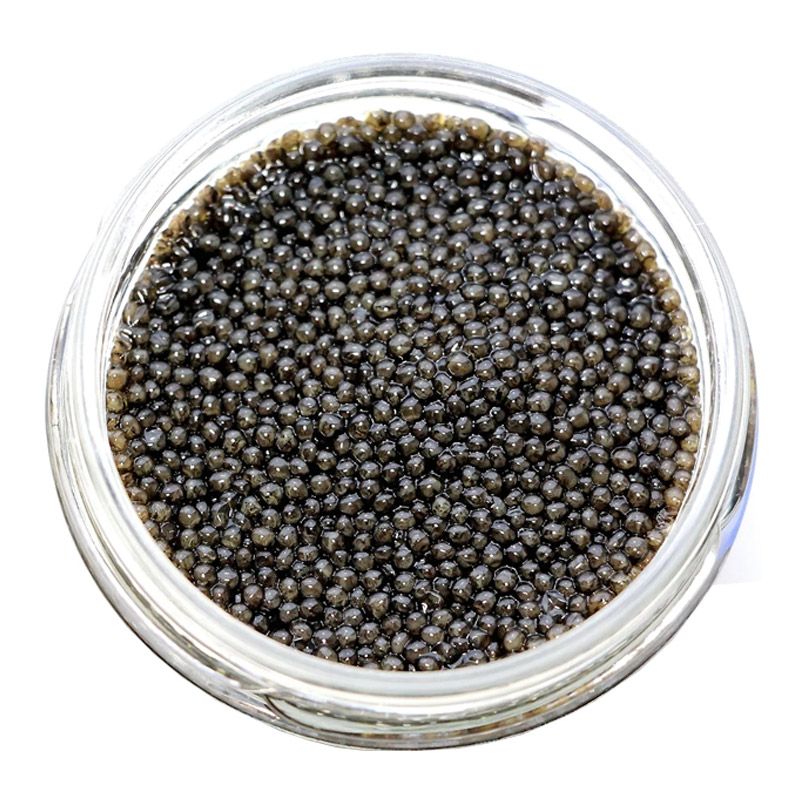 Sevruga-Caviar-1
