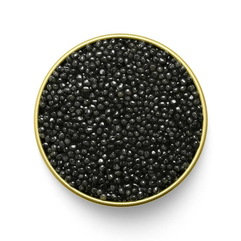Sevruga-Caviar-2